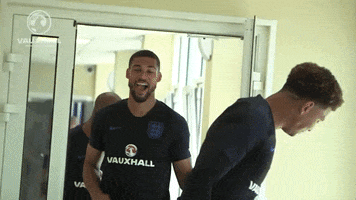 three lions GIF by England