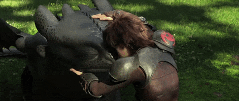 best friends bff GIF by How To Train Your Dragon