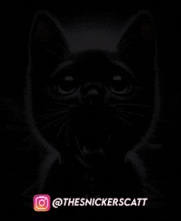 Dark Scared Cat GIF