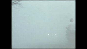 Rally GIF