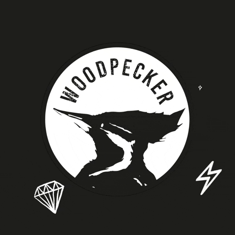 Woodpecker Family GIF