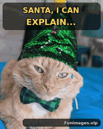 GIF by funimagesvip