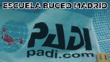 Padi Apnea GIF by Buceo Madrid
