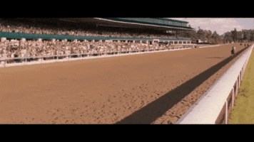Elections 2024 GIF