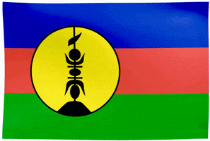 Nouvelle Caledonie Flag GIF by Tony-Jazz