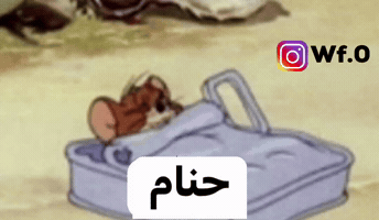 نوم GIF