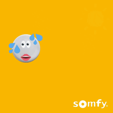 Happy Smart Home GIF by Somfy