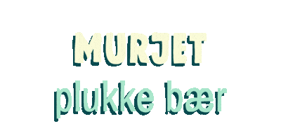 Samisk Samas Sticker