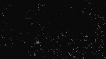 Talks From The Crypt GIF