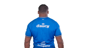 RC Vannes Sticker