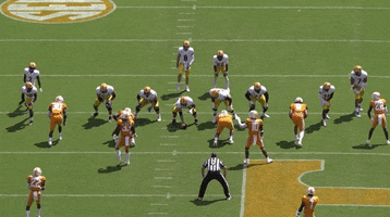 Cfcbears GIF