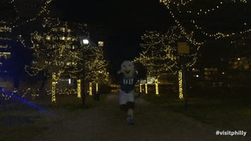 Philadelphia Eagles Christmas GIF by visitphilly