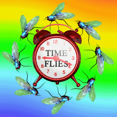 Time Passed Quickly GIFs Get the best GIF on GIPHY Time Passed Quickly GIFs Get the best GIF on GIPHY