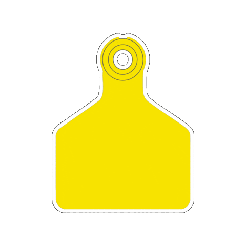 Vaca Gado Sticker by Datamars Livestock