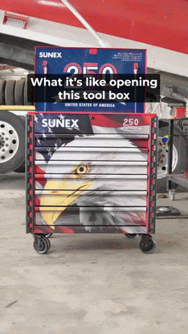 American Eagle Usa GIF by SUNEX Tools