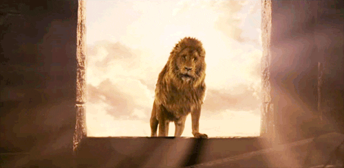 The Chronicles Of Narnia Film GIF - Find & Share on GIPHY