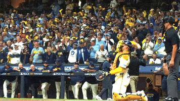 Milwaukee Brewers Lol GIF by MLB