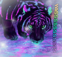 Hi This Is My Gifaccoutnt Image GIF