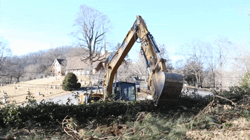 Cat Heavy Equipment GIF by JC Property Professionals
