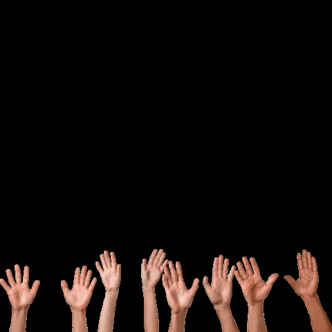 Studiocooliejoelie GIF