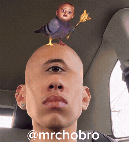 Cho Diddybop GIF
