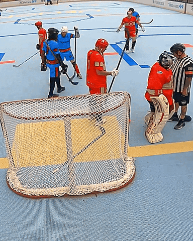 Ball Hockey GIF by USABH_giphy