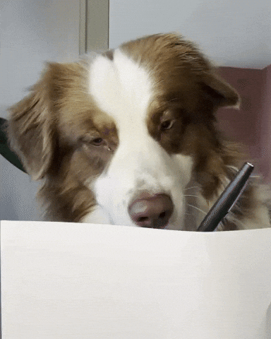 Drawing Taking Notes GIF