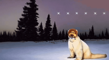 November Remember GIF by colegioroth