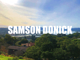 Samson Donick GIF