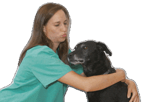 Dogs Cuddle Sticker by DogRoyalz