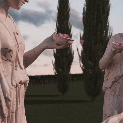 GIF by santamarianovella1221