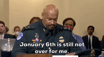 January 6 GIF by GIPHY News