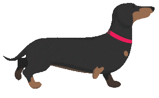 Illustration Dogs Sticker by Vitality