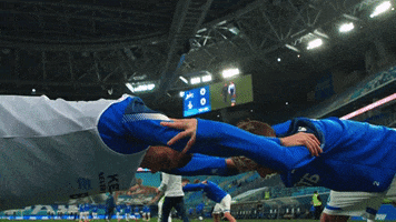 Football What GIF by FC Dynamo Moscow