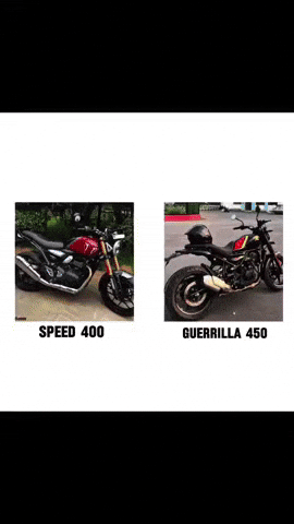 Royalenfield Guerilla GIF