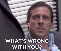 What Is Wrong With You Season 2 GIF by The Office