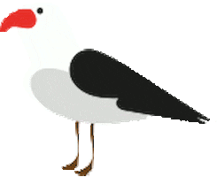 Vogel Ostsee Sticker by Ostseebad Boltenhagen