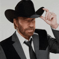 chuck norris roundhouse gif