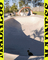 skate park skateboarding GIF by dwindle