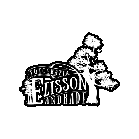 Elisson Andrade Fotografia Sticker