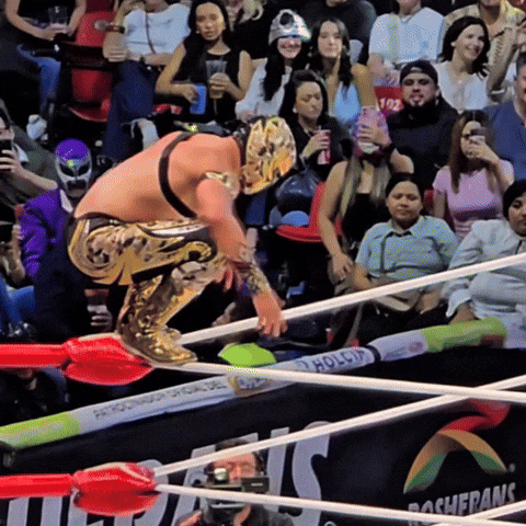 Lucha Libre Wrestling GIF