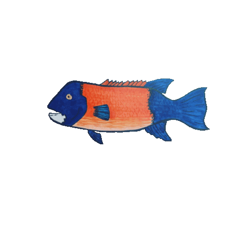 Fish Sticker