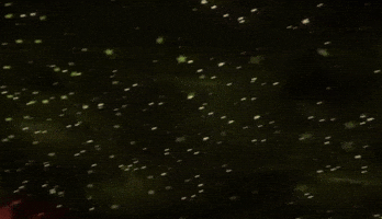 Jax Ribbit GIF