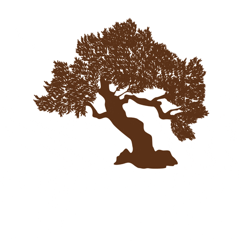 Pir GIF by be shared