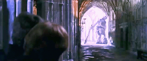 Harry GIF