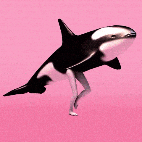 Is whale sperm the reason the ocean is so salty? 🌊 