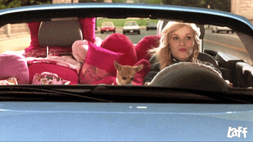 Driving Road Trip GIF by Laff