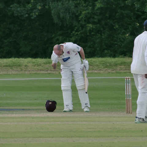 England Cricket GIF by Somerset County Cricket Club
