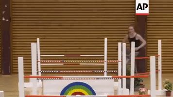 claramouilleseaux hobby horse GIF