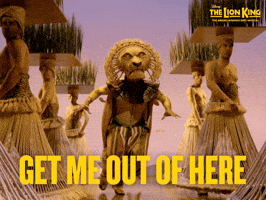 The Lion King GIF by Disney On Broadway